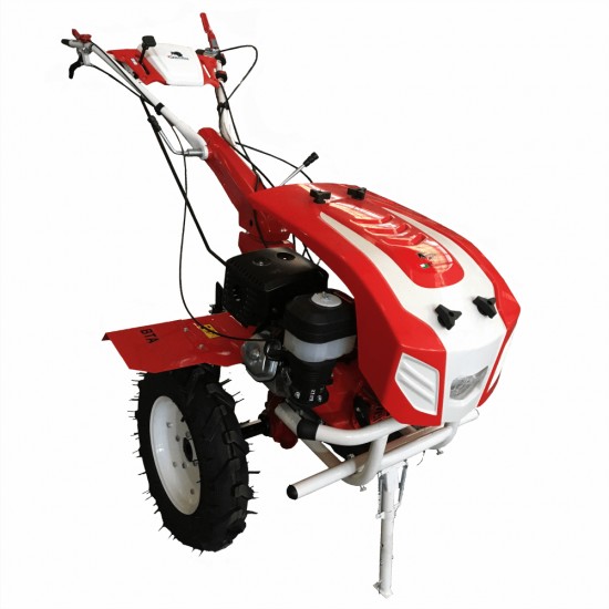 Motocultor BTA10SG
